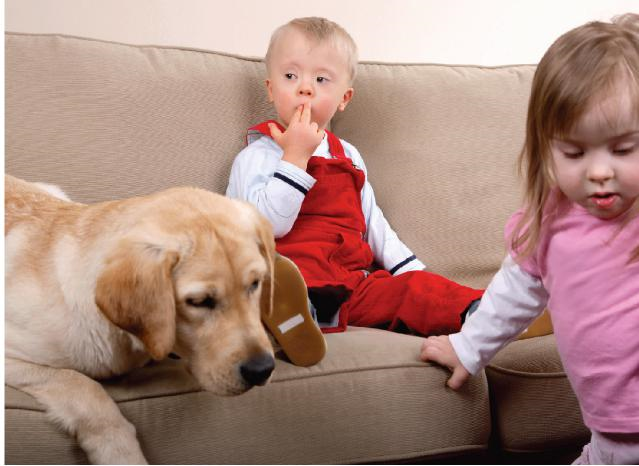 Children on a couch with a service dog