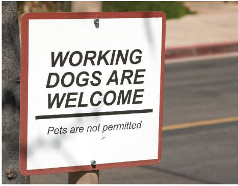 Sign reading "Working dogs are welcome, pets are not permitted"