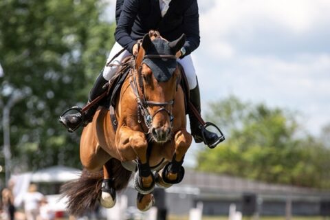 A person in a dark jacket riding a horse over a jump in an arena