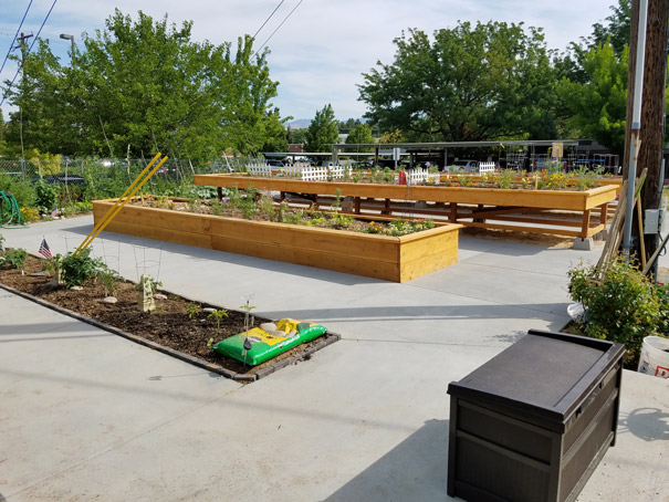 An herb garden with planter boxes