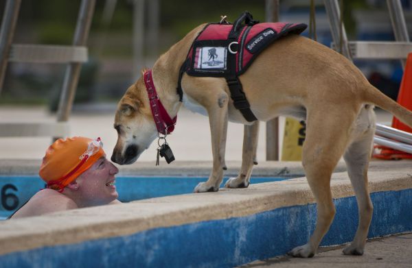 A photo of a swimmer in a pool with his service dog